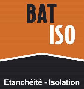 08 logo Batiso.jpg